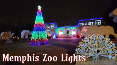 St Louis Zoo Christmas Lights 2018 | Shelly Lighting