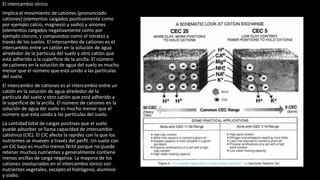 Diapositivas Sobre Quimica Del Suelo Pptx