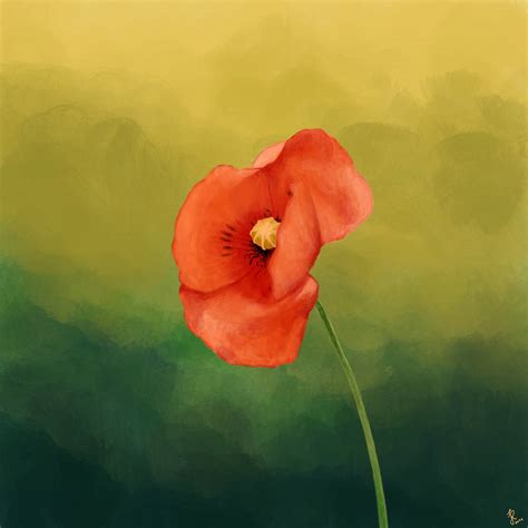 Poppy Flower | Painting by jakub-radl on DeviantArt