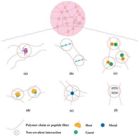 Molecules Free Full Text Supramolecular Hydrogels For Protein