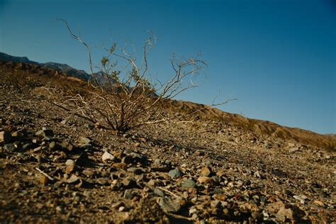 Gratis Afbeeldingen Landschap Boom Natuur Zand Rots Wildernis