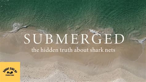 Submerged: The Hidden Truth About Shark Nets - YouTube