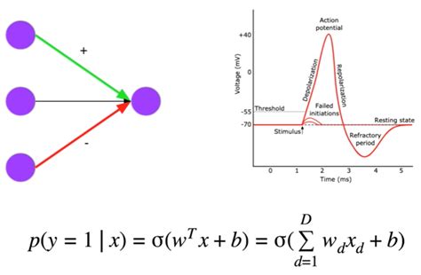 Logistic Regression As A Neuron Andrea Perlato