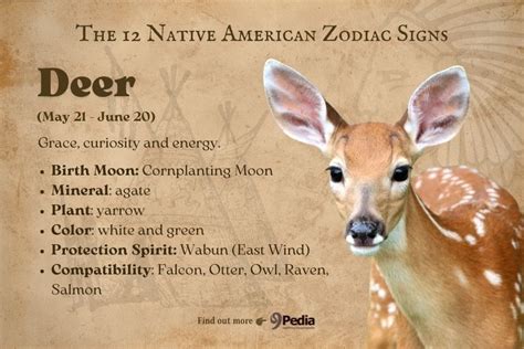 12 Native American Zodiac Signs Discover Your Sign