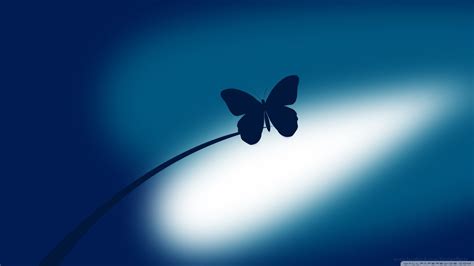 Blue Butterfly Wallpapers - Top Free Blue Butterfly Backgrounds ...