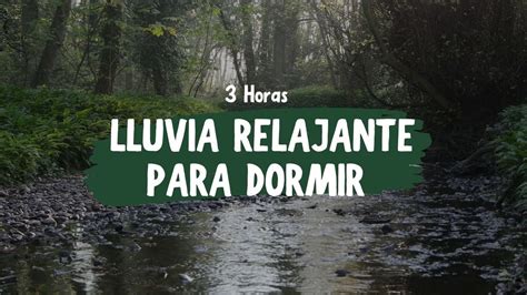 Lluvia Relajante Para Dormir Sonidos Relajantes De Lluvias En Bosques