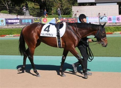 【東京2歳未勝利】ペルソナデザインが追い比べを制して初勝利！ 12年京成杯勝ち馬ベストディールの半弟 スポーツ報知