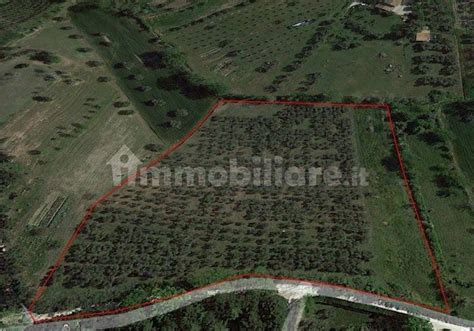 Terreno Agricolo Senigallia Rif Immobiliare It