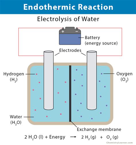 Electrolysis Of Water Definition And Equation Water Electrolysis Water Molecule Hydrogen Gas