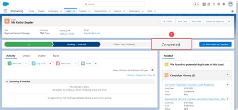 How To Convert Lead To Account Contact Or Opportunity In Salesforce