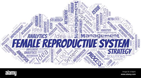 Female Reproductive System Typography Vector Word Cloud Wordcloud