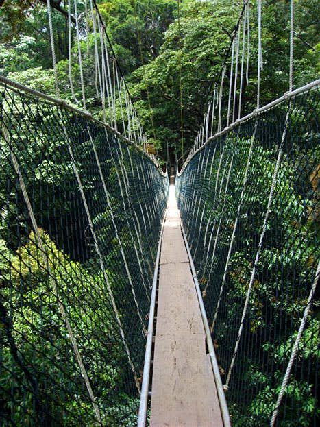 taman negara hiking trails - Lillian Ogden