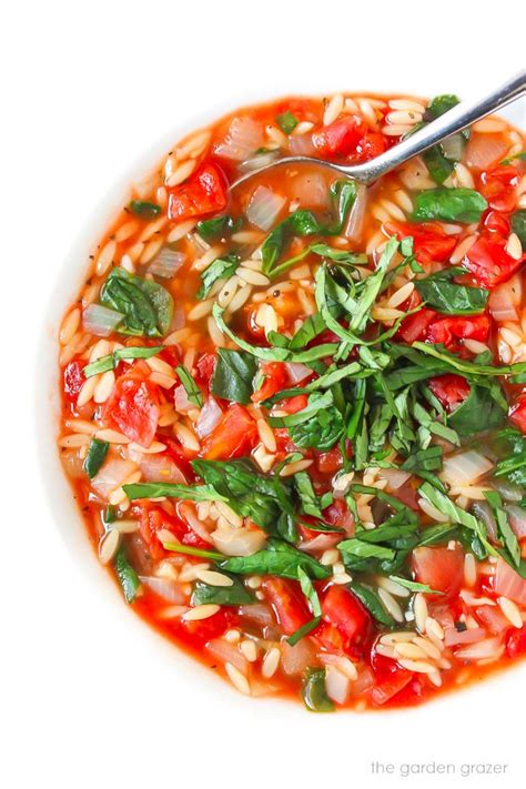 Tomato Spinach Orzo Soup Recipe