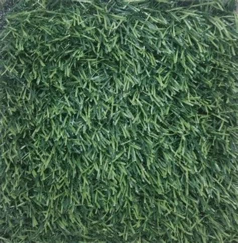 Pp 25mm Artificial Grass For Outdoor At Rs 29 Sq Ft In New Delhi Id 25411538662