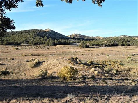 Quemado, NM Farms & Ranches for Sale | realtor.com®