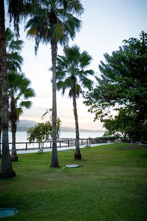 Parent's Getaway to Jamaica with Secrets | LivingLesh