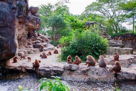 10 of the World's Most Magical Zoos | Travel Channel Singapore Expat ...