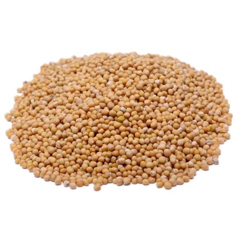 Yellow Mustard Seed