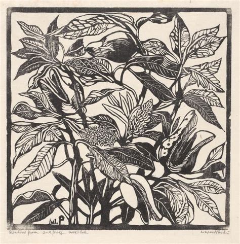 native pear margaret preston ngv view work margaret preston