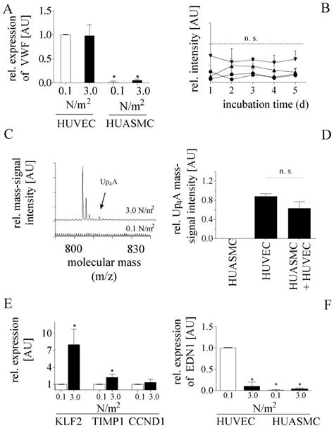 Semi Quantitative Rt Pcr Analysis Showing The Total Vwf Mrna Expression Download Scientific