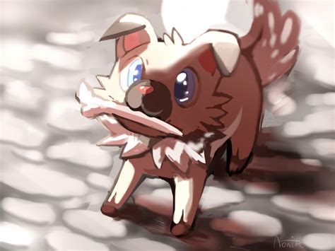 Rockruff2013204 Zerochan