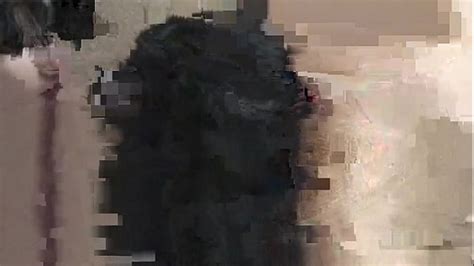 Vintage Gay Oral Sex Photos New Model Kayden Spike Gets A Fine XVIDEOS