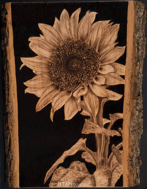 Pyrography Of A Sunflower By Brandojones Wood Burning Patterns