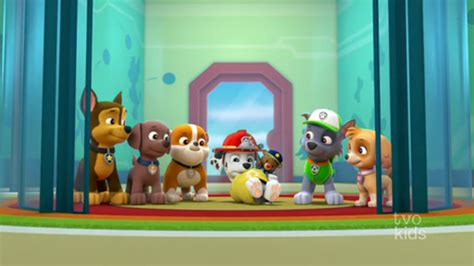 Paw Patrol Season 3 Episode 16 By Karllthorn On Deviantart