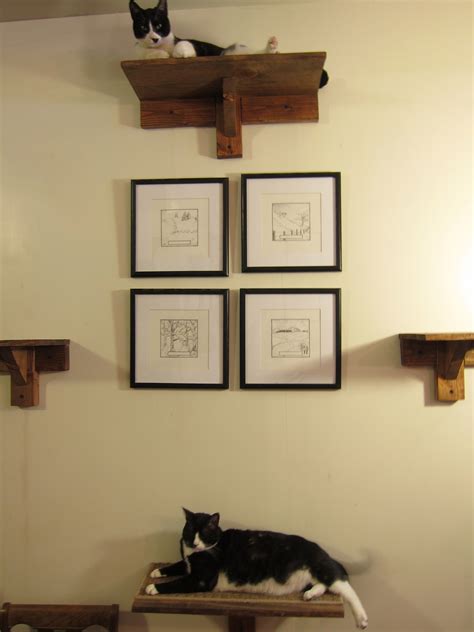 Homemade Cat Shelves Cat Shelves Homemade Cat Decor