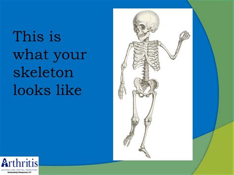 love  bones powerpoint    id