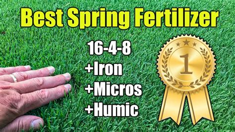 Best Spring Lawn Fertilizer YouTube