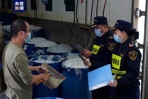 湾区通关再提速！首票粤港“一单两报” 货物顺利抵港香港港珠澳大桥广东省新浪新闻