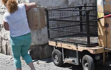 Slobodna Dalmacija Vlasnik Obrta Koji Ima Osam Dostavnih Kareta