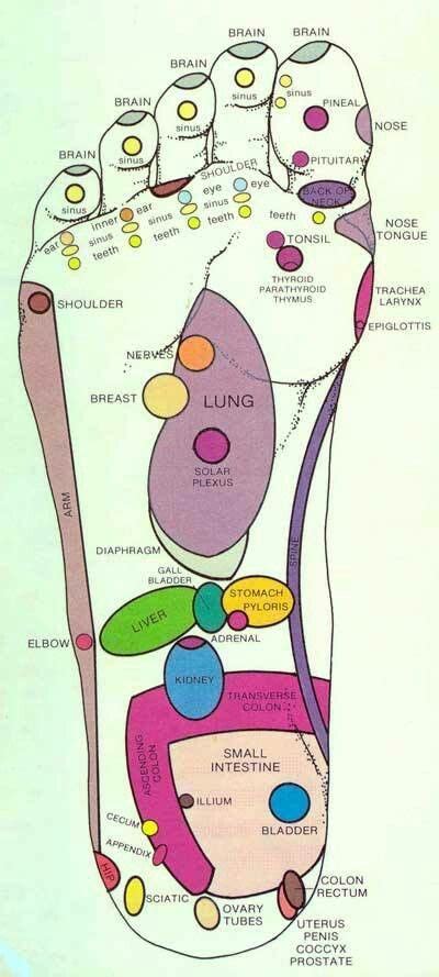 Footology Reflexology Reflexology Points Reflexology Chart