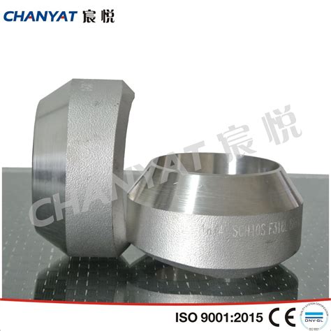 Stainless Steel Forged Fitting Weldolet 1 4301 X5crni1810 China