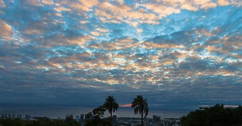 Puesta Del Sol And Palm Trees Imgur