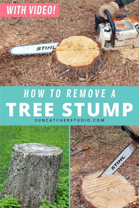 Tree Stumps Diy Artofit