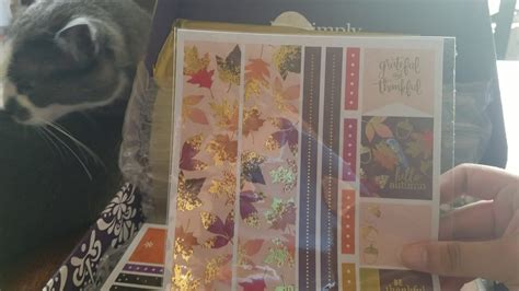 Erin Condren Fall Surprise Unboxing Ecsurprisebox Youtube