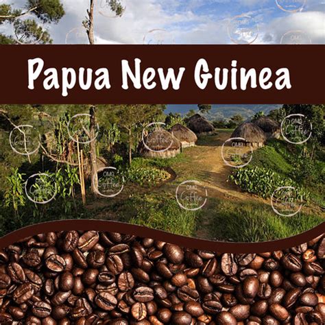 Organic Papua New Guinea Coffee Omg Coffee Company