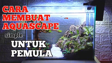 Cara Membuat Aquascape Untuk Pemula Youtube