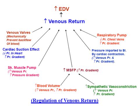 Venous Return HowMed