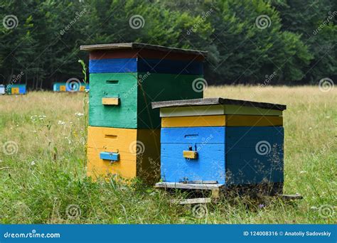 Two Wooden Beehives Stock Photo Image Of Beekeeping 124008316