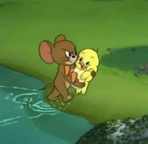 Tom jerry best of jerry and little quacker classic cartoon compilation ...