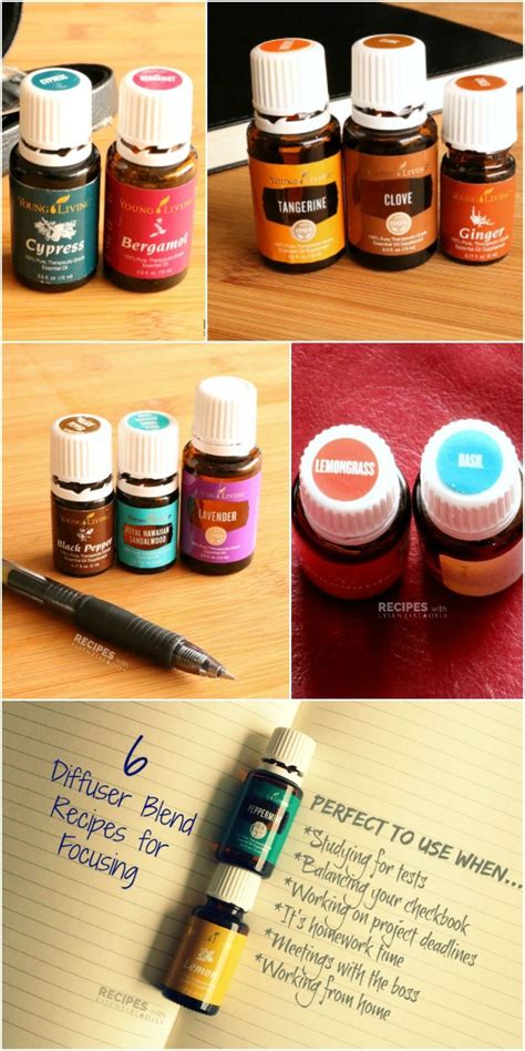 These are 6 of our favorite Diffuser Recipes for Focus. Be sure to try them all… Homemade ...