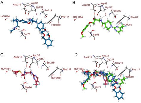 Molecular Docking Experiments Of D Qsar Pharmacophore Modeling