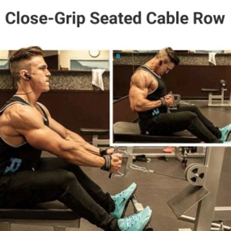 Close Grip Seated Cable Row By 𝔻𝕖𝕤𝕖𝕣𝕥 𝔽𝕠𝕩🦊 🌟 Exercise How To Skimble