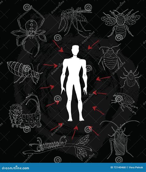 Poisonous Caterpillars Stock Illustrations – 20 Poisonous Caterpillars
