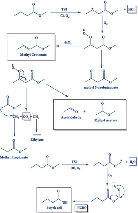 Cl OH Initiated Atmospheric Degradation Mechanism For Methyl Butyrate