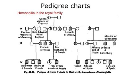 Hemophilia Pedigree Chart Royal Family: A Visual Reference of Charts | Chart Master