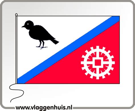 Vlag Zeeland Provincievlaggen 100x150cm Provincie Vlaggen Vlaggenhuis